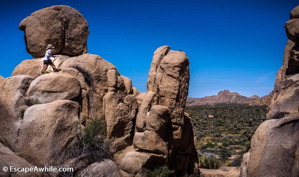 Numerous rock formations are a prime playground for a young explorer.