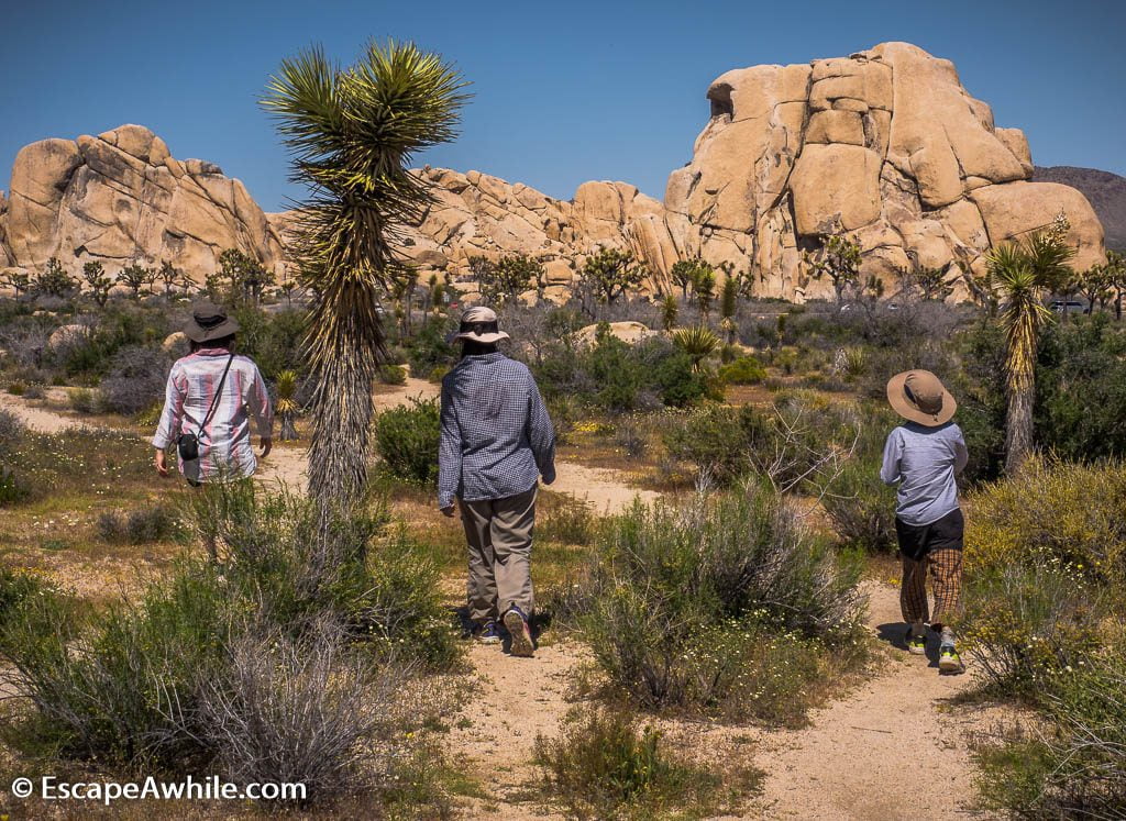 Hidden Valley loop walk, Joshua Tree national park.