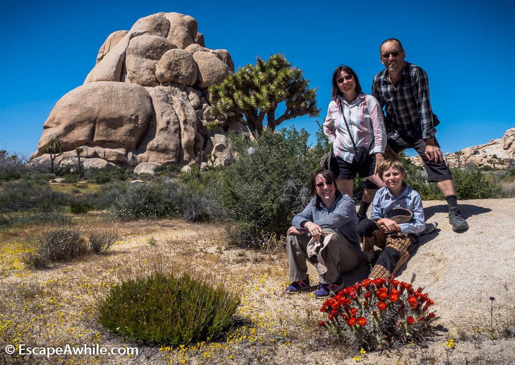 Family pic which sums up our national park experience:  granite rock boulders, Joshua Trees and a carpet of spring wild flowers.