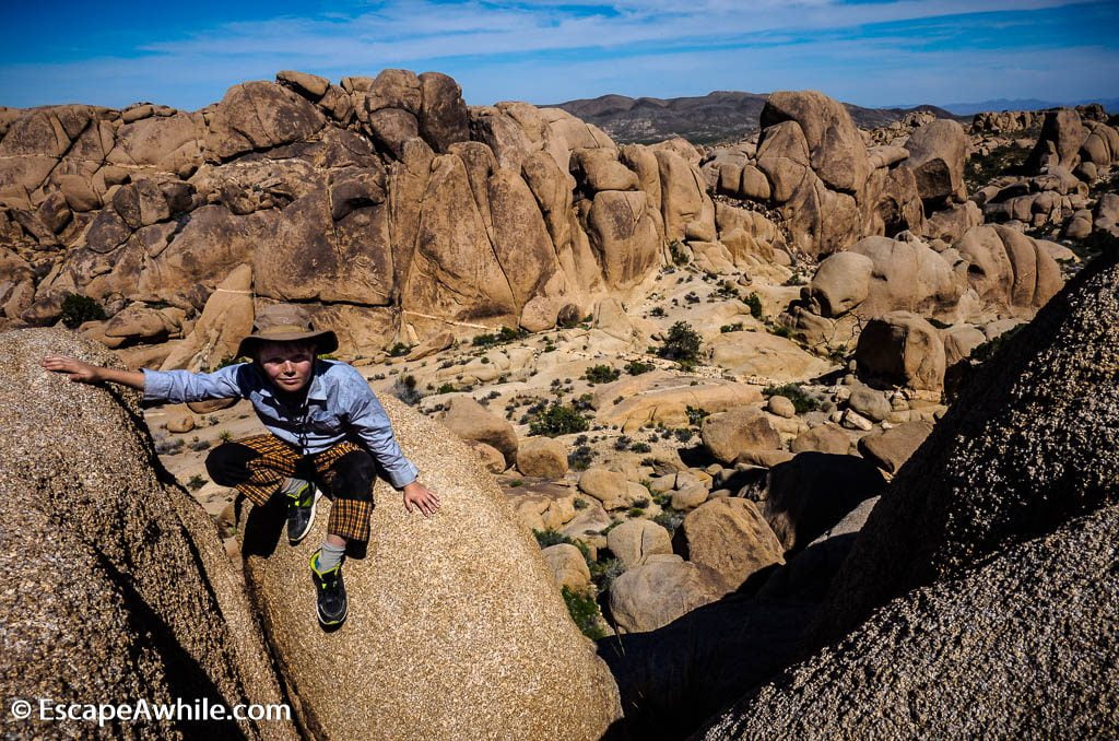 Another exploratory climb to enjoy the views over valley, Split Rock loop walk, Joshua Tree NP.