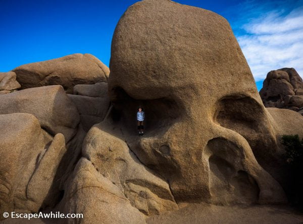 Skull Rock, one of the well visited rocks in the Joshua Tree NP.