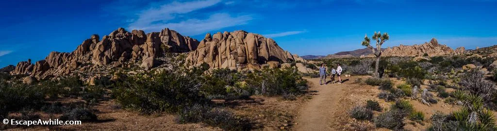 Split Rock loop, Joshua Tree NP.