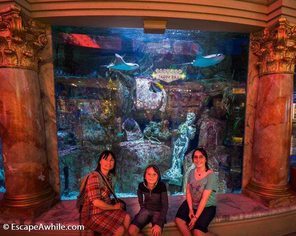 Salt water aquarium at Caesar Forum shops, Las Vegas