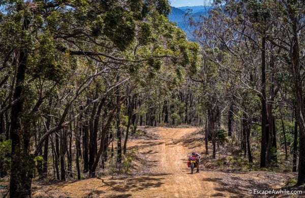 Yarramunmun fire trail gains an elevation and views, but is still a hard push-a-bike