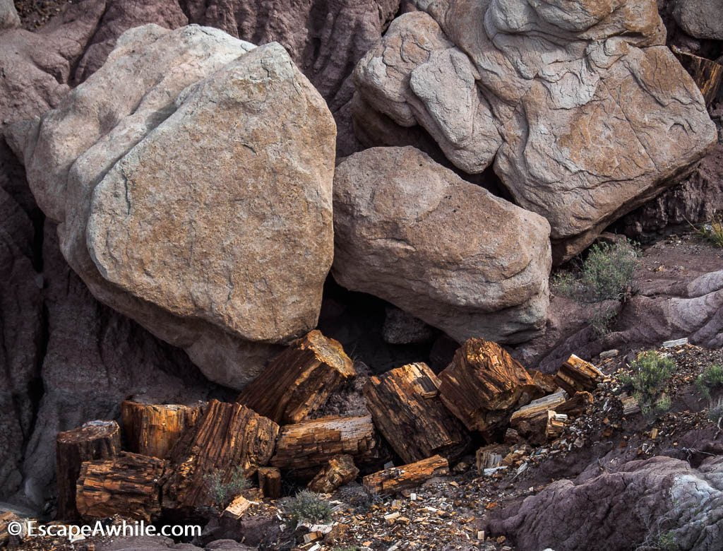 Rock litter along the Jasper Forest loop. Petrified Forest National Park