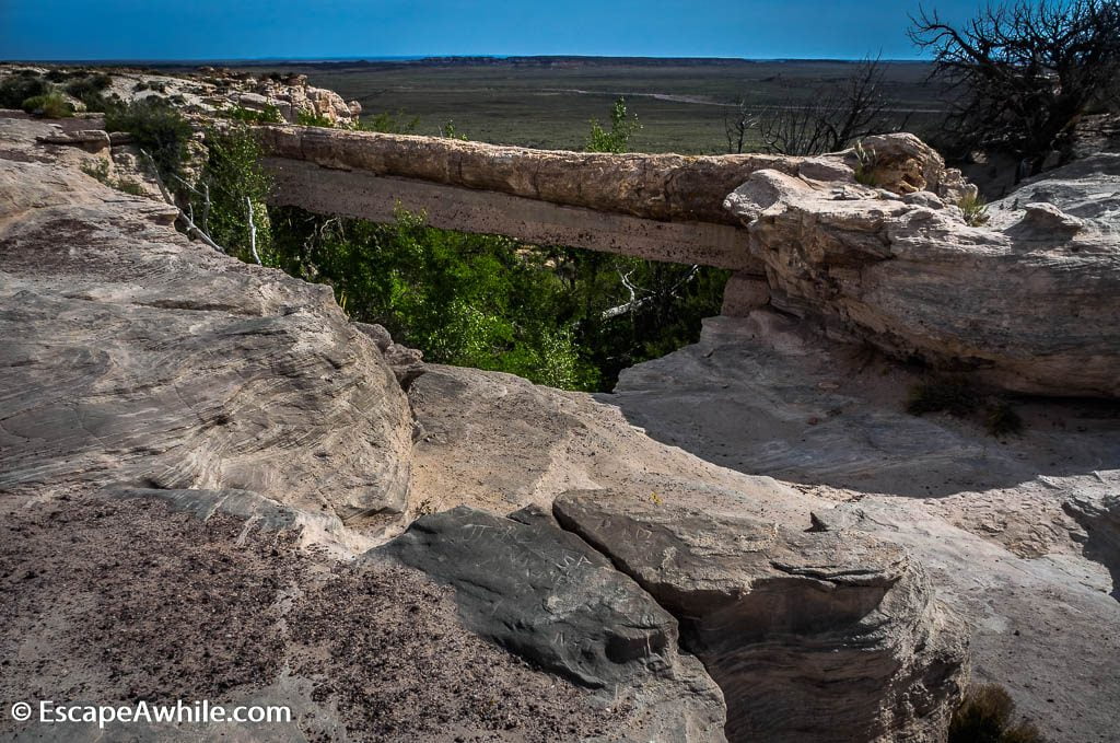 Agate Bridge, 110ft/34m long petrified log, spanning a gully.